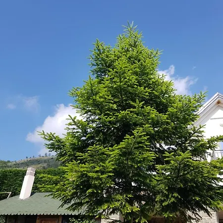 Sofra E Shpatit فندق Gjinar