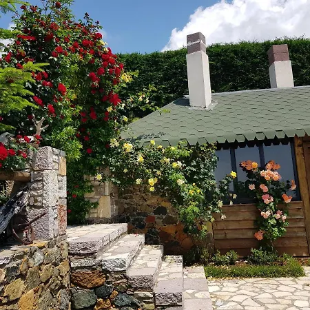 Hotel Sofra E Shpatit 4*