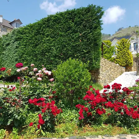 Hotel Sofra E Shpatit Gjinar