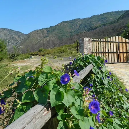 Otel Sofra E Shpatit Gjinar
