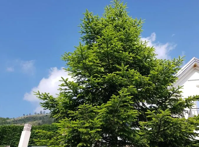 Sofra E Shpatit Hotel Gjinar